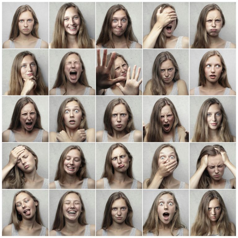 Emoções: Cérebro Social e Sistema Límbico